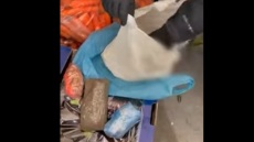 Φυλακές Αυλώνα: Περνούσαν ναρκωτικά και κινητά μέσα σε... πατάτες και καρότα! - Δείτε βίντεο