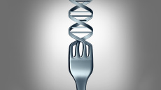 Οστεοπόρωση: Οι άγνωστοι παράγοντες επικινδυνότητας και ο ρόλος της διατροφογενετικής στην αντιμετώπιση και στην πρόληψή της