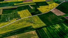 Εγκύκλιος διευκρινίζει πώς θα γίνει η πληρωμή αγροτεμαχίων έως 20 στρέμματα παρά τα ζητήματα ΚΑΕΚ