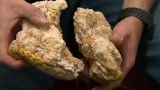 Αυστραλία: Ερασιτέχνης χρυσοθήρας χτύπησε... φλέβα χρυσού αξίας 160.000 δολαρίων