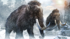 Εμφυτευμένα κινητά, μπιφτέκια από μαμούθ, μέλι χωρίς... μέλισσες - Το «τρελό» μέλλον που φέρνει η τεχνολογία