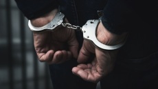 «Πιστολέρο» πυροβόλησε και σκότωσε σκύλο στη Ρόδο