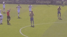 Ισπανία: Διεκόπη αγώνας ποδοσφαίρου λόγω εισβολής... κουνουπιών - Δείτε βίντεο