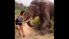 Ινδία: Τουρίστρια «έπαιξε» με έναν ελέφαντα και τις μπανάνες του και... την πήρε και τη σήκωσε - Δείτε βίντεο
