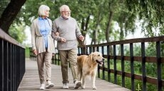 Ατυχήματα: Πόσο επικίνδυνη μπορεί να γίνει η βόλτα με το σκύλο για τους 65αρηδες