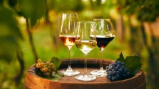 Γευσιγνωσία κρασιού: πώς το κλίμα επιδρά στο κλήμα;