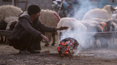 Ιράκ: 13 νεκροί εξαιτίας του αιμορραγικού πυρετού Κριμαίας-Κονγκό το 2023