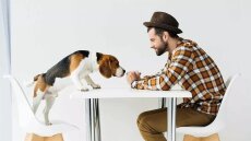 Ένας απρόσμενος, χνουδωτός γιατρός: Η μύτη του σκύλου «πιάνει» τις ανθρώπινες ασθένειες