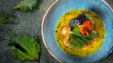 Μα τι είναι επιτέλους το shiso και άλλες απορίες για το ιδιαίτερο φυτό που μπαίνει στα πιάτα μας