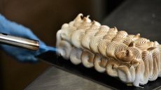 Mια βόλτα στον γλυκό «ναό» του λεμονιού στο Χαλάνδρι