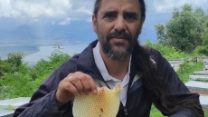 BEE-thoven: Εκεί που η μουσική συναντά τη... μελισσοκομία 