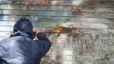 Ελσίνκι: Αντιδήμαρχος πιάστηκε να... ζωγραφίζει γκράφιτι 