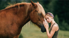 Εθισμοί: Οι τετράποδοι θεραπευτές που μπορούν να κάνουν θαύματα – Δεν είναι αυτοί που νομίζετε