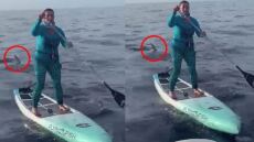 ΗΠΑ: Βίντεο: Απίστευτη ψυχραιμία από γυναίκα που έκανε SUP δίπλα σε καρχαρία 500 κιλών
