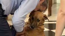 Μητσοτάκης: Παιχνίδια με τον Peanut στο περιθώριο της συνέντευξης στο Bloomberg - Φωτογραφίες