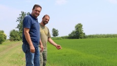 Οικογένεια Κράββα: Οι γητευτές των ορυζώνων της Χαλάστρας με ιστορία τριών γενεών