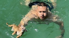 Σαλαμίνα: Μέλος πληρώματος πλοίου έσωσε γατάκι από τη θάλασσα - Δείτε βίντεο