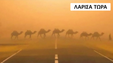 Καύσωνας: «Έβρασε» η Λάρισα και το Twitter... τρελάθηκε - «Μόλις είδα ένα κουνούπι με ιδρώτα»