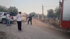 Στέλιος Πέτσας: Δίπλα στους πυροσβέστες στο Λαγονήσι ο πρώην υπουργός - Δείτε βίντεο