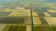 Εξερευνώντας τους ορυζώνες της Κεντρικής Μακεδονίας