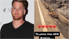 Τζέιμς Καφετζής: Η φωτογραφία με τα καμένα ελάφια της Ρόδου - «Τα μόνα που δεν φταίνε»