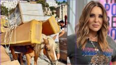 Ναταλία Γερμανού: Εξοργισμένη με τα φορτωμένα γαϊδούρια στην Ύδρα