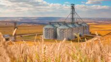 Πόλεμος στην Ουκρανία: Κίεβο και Βαρσοβία κατέληξαν σε συμφωνία για τα σιτηρά - Τι προβλέπει