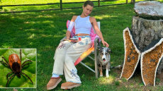 Νόσος του Lyme:  Ποια είναι η ασθένεια από την οποία πάσχει η Μπέλα Χαντίντ