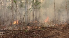Καναδάς: Μαίνονται οι πυρκαγιές στον Βορρά - Εκκενώσεις περιοχών με στρατιωτικά αεροπλάνα