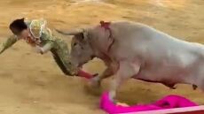 Ισπανία: Ταύρος πέταξε στον αέρα σαν «κούκλα» 28χρονο ταυρομάχο - Τραυματίστηκε σοβαρά ο ματαντόρ