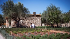 Η φάρμα στα Καλύβια Αττικής που στηρίζει 4 εστιατόρια: εποχικότητα, φρέσκια πρώτη ύλη και νόστιμα πιάτα