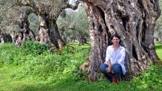 Γευσιγνωσία ελαιολάδου στην Καλαμάτα: μια αυθεντική εμπειρία γνώσης με τον ελαιώνα