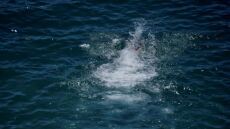 Χαλκιδική: Νεκρός ανασύρθηκε 50χρονος από τη θάλασσα στη Ζούγκλα