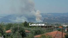 Φωτιά στη Φθιώτιδα: Πυρκαγιά στη Μακρακώμη σε αγροτοδασική έκταση - Δείτε βίντεο