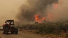 Φωτιές - Αρτοποιός: «Οι αναζωπυρώσεις στη Βοιωτία δημιουργούν μέτωπο» - 60 οι τραυματίες πυροσβέστες