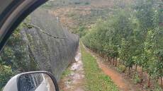 Ζημιές από τη χαλαζόπτωση στο Μεσόβουνο της Πτολεμαΐδας