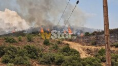 Αναζωπυρώθηκε η φωτιά στη Βίτωλη Φθιώτιδας, πάνω από τα σπίτια του χωριού - Ρίψεις νερού από PZL και Canadair