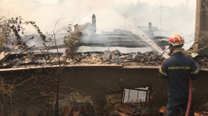 Προειδοποιεί η Γκάγκα για τις πυρκαγιές: Λιγότερα δέντρα, σημαίνει χαμηλότερη ποιότητα αέρα που εισπνέουμε