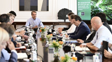 Πυρκαγιές: Άμεσα αναδασωτέες οι εκτάσεις που κάηκαν - Τι αποφασίστηκε στη σύσκεψη στο Μαξίμου για Έβρο και Πάρνηθα