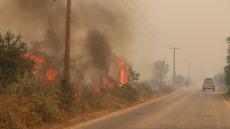 Φουντώνει το μέτωπο της πυρκαγιάς στον Έβρο - Οι φλόγες ζώνουν το χωριό Γιαννούλη