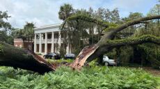 Τυφώνας Ιντάλια: Ξερίζωσε αιωνόβια βελανιδιά στον κήπο της έπαυλης του κυβερνήτη της Φλόριντα