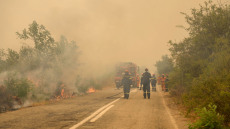 Φωτιά στον Έβρο: Ανάμεσα σε Κορνοφωλιά και Σουφλί το πιο δύσκολο μέτωπο - Δείτε βίντεο