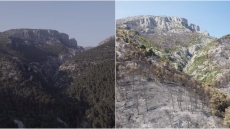 Φυλή: Το πριν και το μετά της μεγάλης καταστροφής από την πυρκαγιά – Δείτε βίντεο από drone