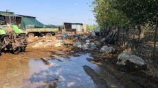 Κακοκαιρία Daniel: Μαζεύουν πάνω από 2.600 νεκρά ζώα σε Καρδίτσα, Ριζόμυλο και Στεφανοβίκειο (φωτογραφίες)