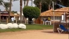 Ερυθρά θάλασσα: Γυναίκα έχασε το χέρι της από επίθεση καρχαρία σε δημοφιλή παραλία