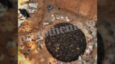 Αναστάτωση με εικαστικό έργο με 11 σφαγμένα αρνιά στην Παιανία