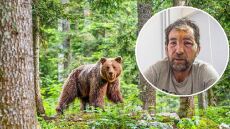 Μακρακώμη: «Πήδηξε πάνω στο κεφάλι μου» - Ο βοσκός περιγράφει την επίθεση που δέχθηκε από αρκούδα