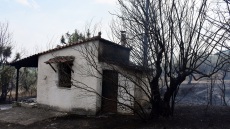 Πληρωμές €500.000 σε πυρόπληκτους για την πρώτη αρωγή - Ανοιχτή έως τις 25 Σεπτεμβρίου η πλατφόρμα για αιτήσεις