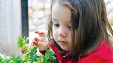 Μελίνα Παρασκάκη: Στην τελική ευθεία η δίκη – Σήμερα η απόφαση