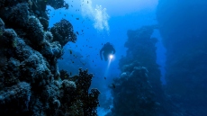 Αλόννησος: Τραγωδία με νεκρή δύτρια - Εκπαιδευόταν σε αυτόνομη κατάδυση